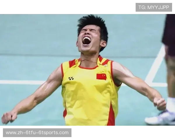 羽毛球判罚林丹