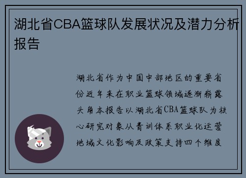 湖北省CBA篮球队发展状况及潜力分析报告