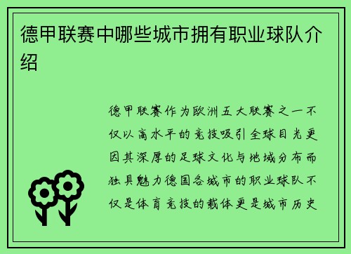 德甲联赛中哪些城市拥有职业球队介绍